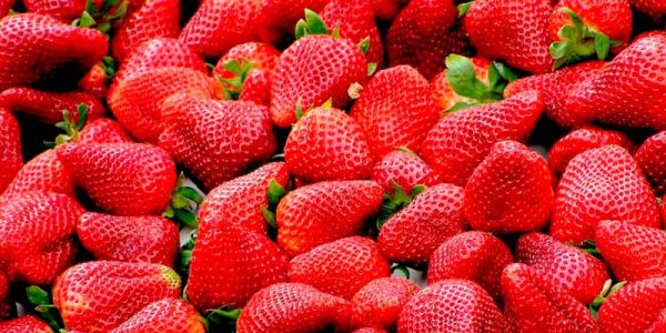 strawberries-99551_1920-e1585014133679-1280x720